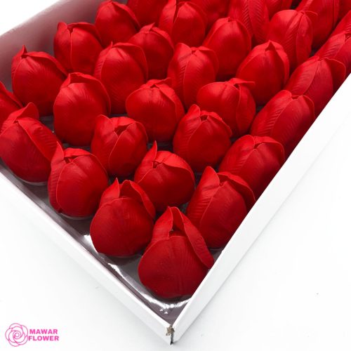 Közepes Piros Tulipán Szappanvirág Fejek