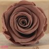 Tartósított Rózsa Fej Mocha Cocoa, Verdissimo, L