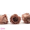 Tartósított Rózsa Fej Mocha Cocoa, Verdissimo, L